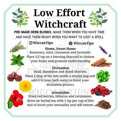 Herb Blends, Witch Herbs, Green Witchcraft, Magia Das Ervas, Folk Magic, Green Magic, Kitchen Witchery, Magick Spells, Magical Herbs