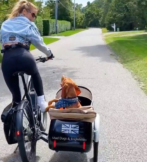 Bicycle Sidecars - Mad Dogs & Englishmen | California I Want To Be Friends, Dog Bike Carrier, Bicycle Sidecar, Bike Chopper, Want To Be Friends, Dog Trailer, Biking With Dog, Bicycle Trailer, Carbon Road Bike