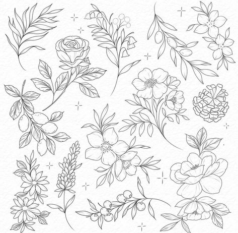 Birth Flower Sleeve, Collage Tattoo, Flower Tattoo Ideas, Antique Flowers, Flower Line Drawings, Flower Collage, Flowers Vector, Tattoo Design Book, Line Art Tattoos