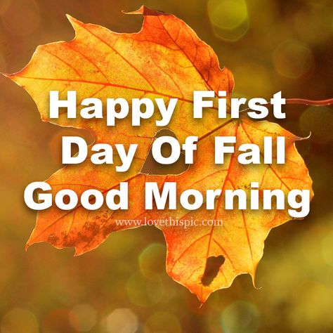 Heart Leaf First Day Of Fall Good Morning Pictures, Photos, and Images for Facebook, Tumblr, Pinterest, and Twitter Monday Pictures, Happy First Day Of Fall, Good Morning Facebook, First Day Of Autumn, Heart Leaf, First Day Of Fall, Fall Images, Good Morning Photos, Autumn Quotes