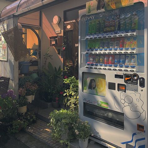 숲 사진, Futurisme Retro, Japan Aesthetic, Aesthetic Japan, Japanese Aesthetic, Soju, Vending Machine, City Aesthetic, Slice Of Life