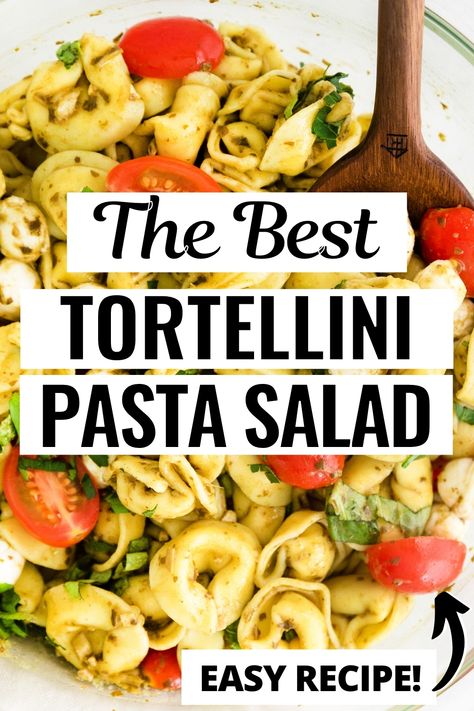 Cheese Tortellini Pesto Pasta Salad, Recipe For Tortellini Salad, Tortilini Salad Italian, Simple Tortellini Pasta Salad, Easy Tortellini Salad, Tortilla Pasta Salad, Tri Color Tortellini Pasta Salad, Totillinie Pasta Salad, Pasta Salad With Cheese Tortellini