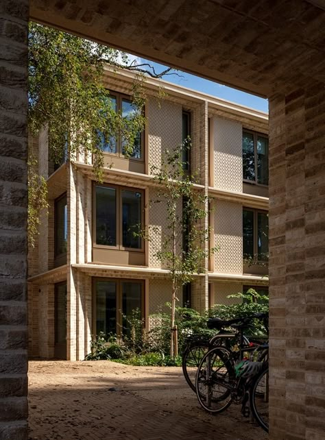 Brick Face, Outdoor Gathering Space, Lecture Theatre, Timber Roof, New Architecture, Student Accommodation, Brick Building, Bedroom Layouts, Structural Engineering