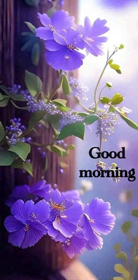 good morning images | Good morning Ge Aldrig Upp, Good Morning Wishes Gif, Latest Good Morning, Good Morning Beautiful Gif, Cute Good Morning Images, Happy Morning Quotes, Good Morning Flowers Quotes, Good Morning Nature, Good Morning Beautiful Flowers