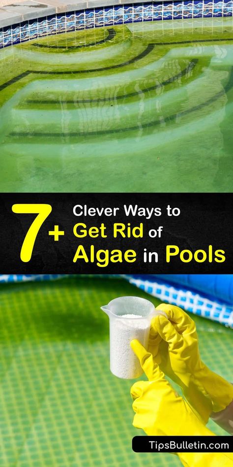 Diy Pool Cleaning Hacks, Pool Cleaning Hacks, Diy Pool Steps, Diy Pool Vacuum Ideas, Magic Eraser In Pool, Mustard Algae In Pool, Above Ground Pool Cleaning Hacks, Green Swimming Pool, Clean Green Pool