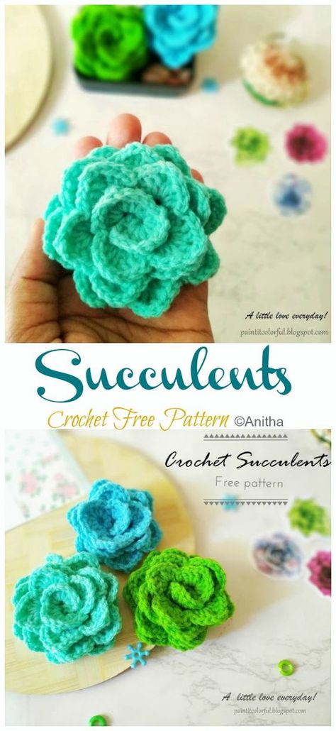 Crochet Succulent Plant Pattern Free, Crochet Amigurumi Succulent Free Pattern, Crochet Cactus Flower Free Pattern, Crocheted Succulents Free Pattern, Succulents Crochet Free Pattern, Succulent Crochet Pattern Free, Succulent Amigurumi Free Pattern, Free Crochet Pattern Plant, Crochet Plant Applique