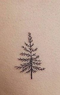 Evergreen Tattoos For Women, Fine Line Evergreen Tattoo, Dainty Tats, Evergreen Tattoo, Sister Tats, Turtle Tattoo Designs, Pine Tree Tattoo, Branch Tattoo, Single Line Tattoo