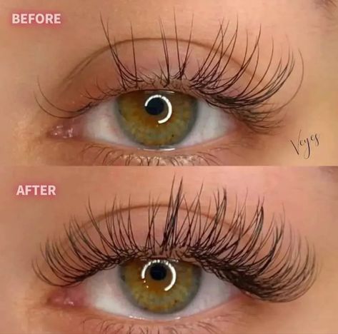 C Curl Vs D Curl Lashes, Natural Lash Extensions, Natural Fake Eyelashes, Pretty Lashes, Natural Eyelash Extensions, C Curl, Curl Lashes, Individual Lashes, Fake Eyelashes