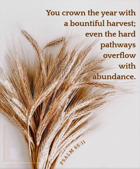 wiirocku: “Psalm 65:11 (NLT) - You crown the year with a bountiful harvest; even the hard pathways overflow with abundance. ” Harvest Quotes, Psalm 65 11, Harvest Bible, Psalm 65, Bible Psalms, Scripture Wallpaper, Feast Of Tabernacles, Gospel Quotes, Chakra Affirmations