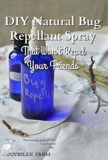 This bug repellent protects against biting flies, mosquitoes, ticks, midges, and black flies. However, note that each essential oil chosen for this blend is not 100% effective for all insect pests. It’s the synergistic blend that covers you against blood sucking insects. Fly Repellant Diy, Repellent Diy, Bug Repellent Spray, Mosquito Spray, Fly Spray, Natural Repellent, Natural Bug Repellent, Insect Spray, Essential Oil Spray