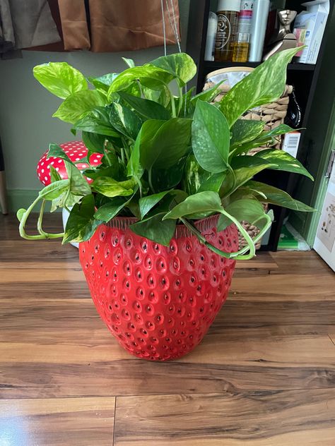 Fruit Picnic, Strawberry Pot, Strawberry Pots, Strawberry Girl, Strawberry Decorations, Future Apartment Decor, Dorm Bedroom, New York Apartment, Ceramics Projects