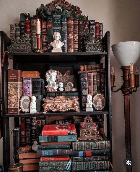 Bookshelf Dark Aesthetic, Old Book Shelf Aesthetic, Dark Academia Shelves, Witch Bookshelf, Cottagecore Bookshelf, Appartment Decor Ideas, Bookish Home, Dark Academia Interior, Bookcase Ideas