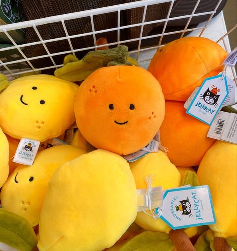 Clementine Fruit Aesthetic, Lemoncore Aesthetic, Orange Boy Aesthetic, Cream Orange Aesthetic, Orange Blossom Aesthetic, Orange And White Aesthetic, Orange + Core + Aesthetic, Orange Aesthetic Cute, Orange Plushie