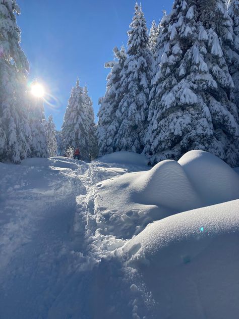 Snow Cabin, Snowy Scene, Snow Forest, Snow Photography, Fantasy Background, Colorado Vacation, Beautiful Christmas Trees, Winter Wallpaper, Winter Scenery