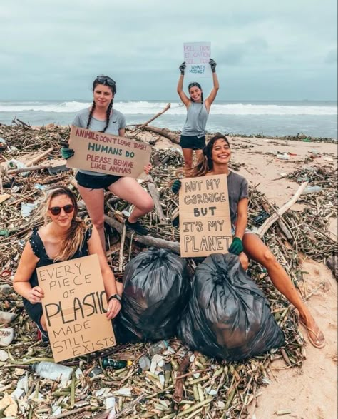 4ecosystem on instagram Pta Events, Wildlife Biologist, Ocean Pollution, Clean Beach, Marine Biologist, Environmental Conservation, Marine Conservation, Our Earth, Ocean Conservation