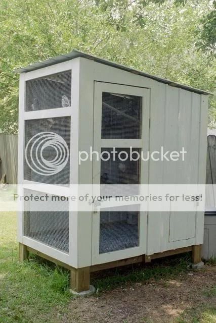 Raising Pigeons/Pigeon Coop | RetrieverTraining.Net - the RTF Pigeon Coop, Pigeon Loft Design, Pigeon Loft, Wire Bins, Outside Lands, Cement Floor, Brick Flooring, Hobby Farm, Loft Design