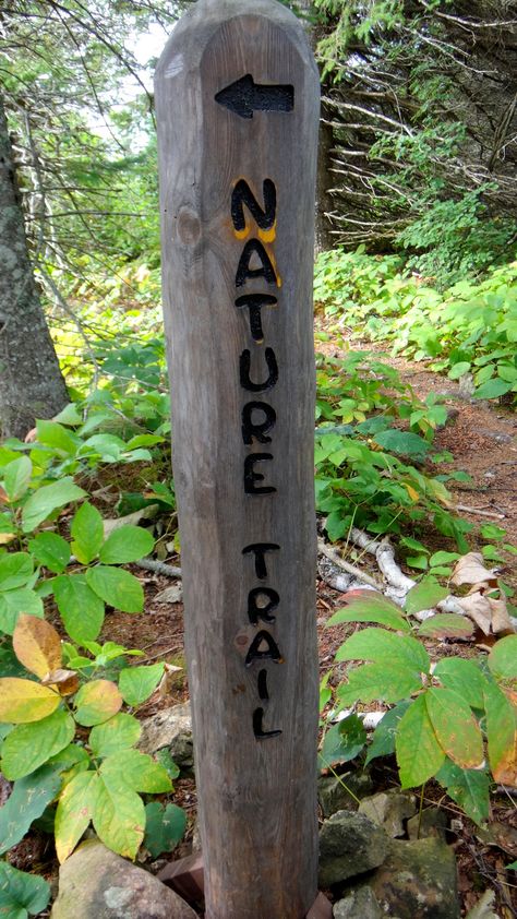 Nature Trail Signs, Trail Ideas, Trail Signs, Mtb Trails, Walking Trail, Colored Chalk, Sensory Garden, Outdoor Signage, Nature Hikes