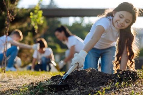 20 Girl Scout Bronze Award Project Ideas | Scout It Up Buddy Bench, Places To Volunteer, Service Projects For Kids, Girl Scout Bridging, Plant Activities, Girl Scout Activities, Award Ideas, Scout Badges, Girl Scout Juniors