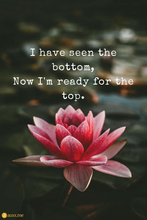 Lotus Flower Quote, Top Quotes, Flower Quotes, Beautiful Quotes, Lotus Flower, The Words, Great Quotes, Namaste, Positive Affirmations