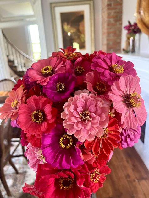 Zinnia Growers | Cut my own birthday bouquet this morning ❤️🌸 | Facebook Zinnias Bouquet, Zinnia Bouquet, Zinnia Flower, Garden Homestead, Zinnia Flowers, Birthday Bouquet, Grad Pics, Outdoor Plants, Plants Flowers