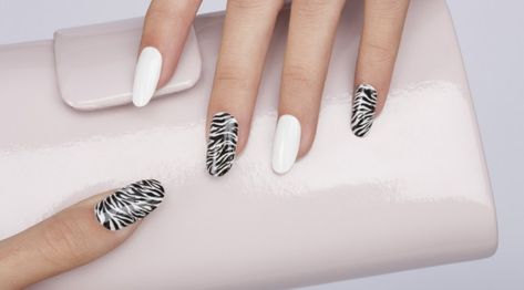 Nail art animalier Estrosa Zebra Nail Designs, Zebra Nail Art, Zebra Print Nails, Types Of Manicures, Zebra Nails, Special Nails, White Nail Polish, Nail Art Brushes, Nail Designs Spring