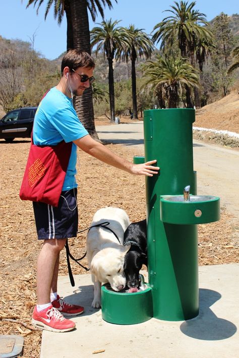 Pet Playground Design, Dog Park Design, Pet Station, Dog Water Fountain, Eco City, Public Space Design, Drinking Fountain, Playground Design, Landscape Architecture Design