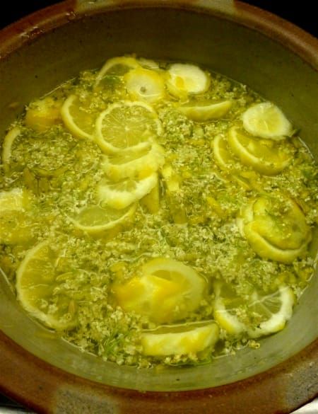 Elderflower Cordial Recipe, Elderflower Wine Recipe - HubPages Elderflower Wine, Elderflower Recipes, Elderflower Champagne, Elderberry Wine, Elderberry Flower, Champagne Recipe, Cordial Recipe, Fermenting Jars, Elderflower Cordial