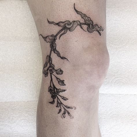 Botanical knee decoration for Kelli.  More of this kind of thing please. Rebeccadewintertattoo@gmail.com Vine Tattoo On Arm, Tattoo Shin, Knee Tats, Plant Sleeve, Pinterest Tattoo Ideas, Tattoos Leg, Botanical Tattoos, Knee Tattoos, Simple Flower Tattoo