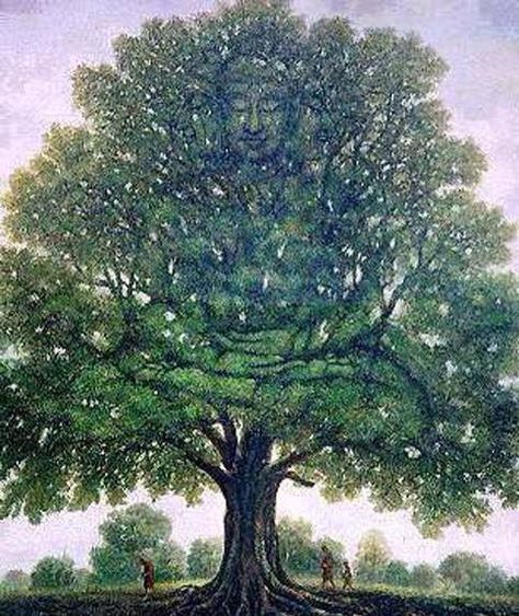 Buddha tree Buddha Tree, Shri Ram Wallpaper, Magical Tree, Tree Of Life Art, Everything Is Energy, History Of India, Photo Album Quote, Buddha Art, Zen Doodle