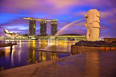 Singapura food crazy Merlion Singapore, Singapore City, Visit Singapore, Seven Wonders, City Hotel, Places Of Interest, Dream Vacation, Top Of The World, Marina Bay Sands