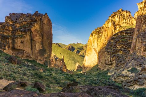 Timber Gulch Oregon, Timber Gulch, Deer Tracks, Pacific Nw, Oregon Travel, Greatest Adventure, Beautiful Places To Travel, Oregon Coast, Adventure Awaits