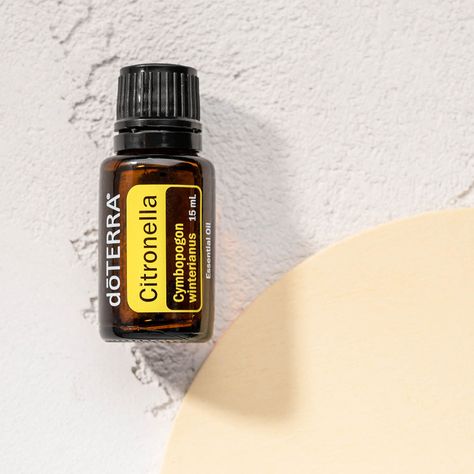 Citronella | dōTERRA Essential Oil Citronella Oil, Doterra Essential Oils, Doterra, Essential Oil, Essential Oils