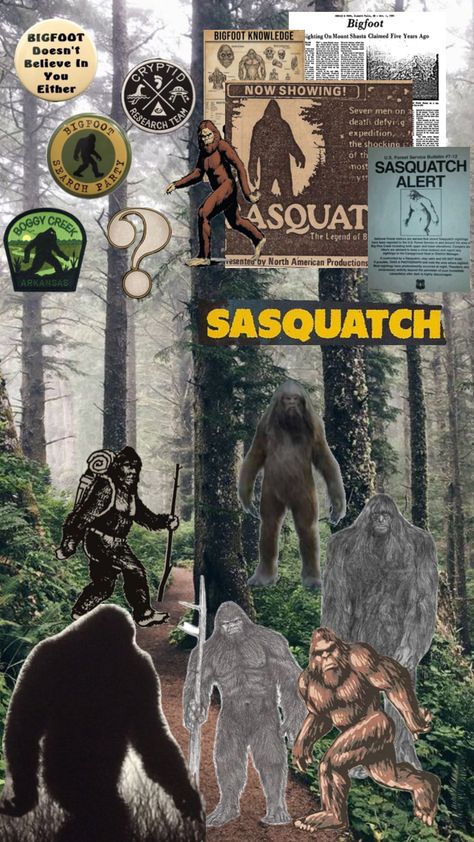 #sasquatch #bigfoot #cryptid #unknown #scary Sasquatch Aesthetic, Bigfoot Aesthetic, Cryptid Party, Cryptidcore Aesthetic, Search Party, Mount Shasta, Forest Service, Scary Stories, Dream Job