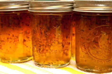 This is the BEST pepper jelly you will ever taste. Seriously, this is the ONE recipe your friends will request again and again! Jalapeño Jelly, Habanero Jelly, Pepper Jam, Jalapeno Jelly, Habanero Pepper, Hot Pepper Jelly, Canning Jam, Sweet Pepper, Pepper Jelly