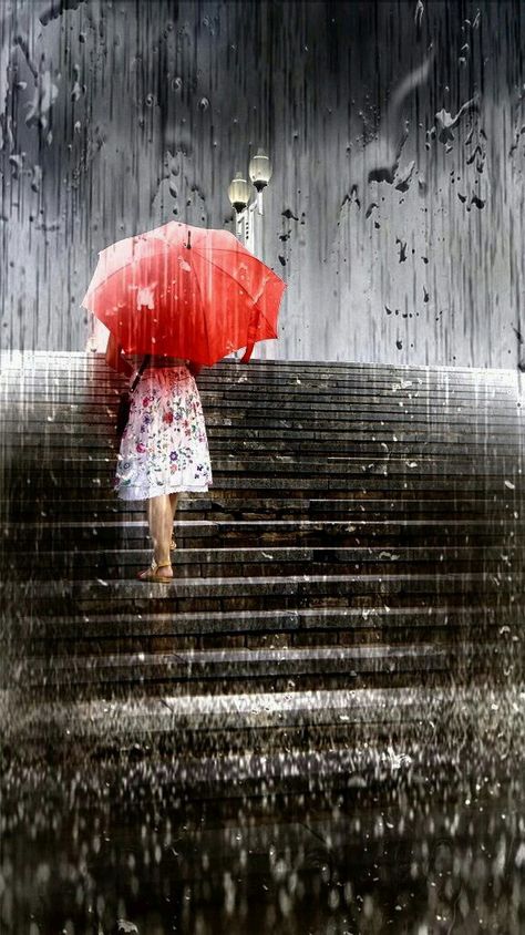 Discover and share the most beautiful images from around the world Rain Photo, I Love Rain, Under The Rain, Umbrella Art, Rainbow Rain, Red Umbrella, Going To Rain, Love Rain, Singing In The Rain