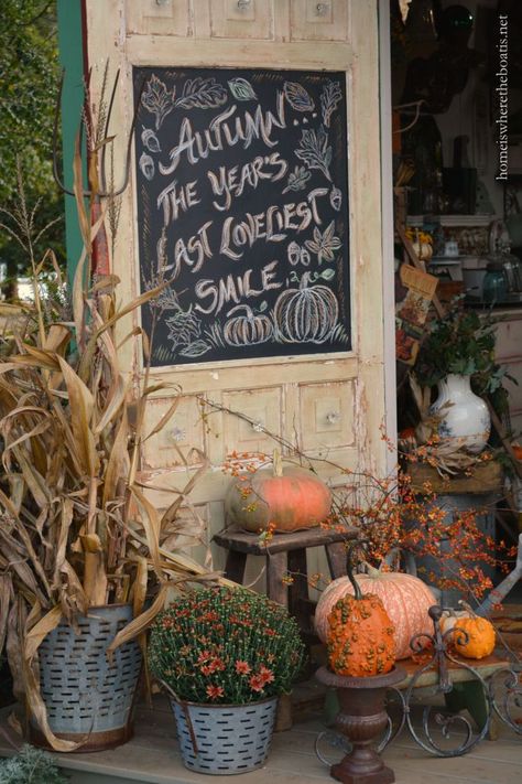 Autumn Chalkboard Door quote | homeiswheretheboatis.net #PottingShed #fall #mums #pumpkin Autumn Chalkboard, Chalkboard Sayings, Autumn Window Display, Fall Porches, Fall Chalkboard, Chalkboard Door, Fall Windows, Autumn Cottage, Porch Life