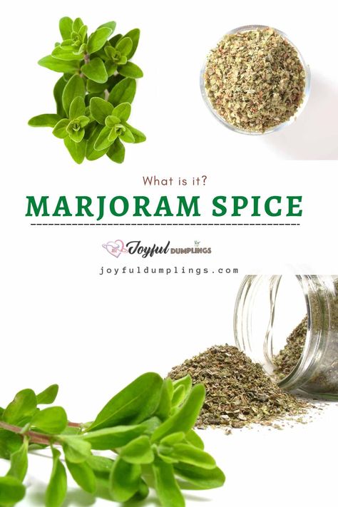 marjoram substitute Marjoram Benefits, Marjoram Recipes, Marjoram Substitute, Marjoram Plant, Irish Potato Bread, Amazing Food Decoration, Baking Basics, Potato Bread, Cooking 101