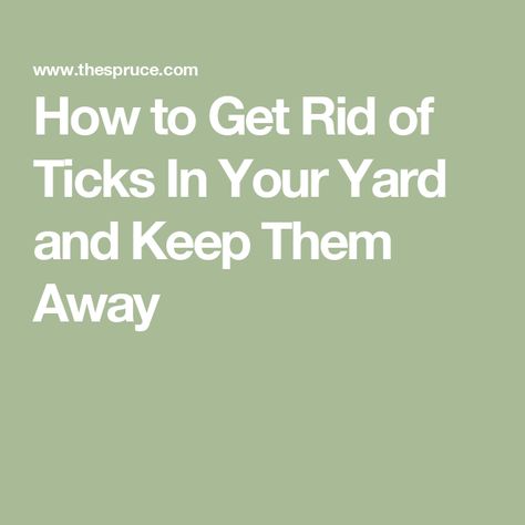 How to Get Rid of Ticks In Your Yard and Keep Them Away Tick Tubes, Wood Tick, Get Rid Of Ticks, Types Of Roofing Materials, Lawn Pests, Integrated Pest Management, Tick Repellent, How To Install Gutters, Gutter Guard