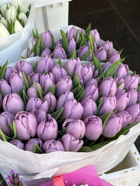 Lilac Tulips, Tulip Flower Pictures, Purple Flower Bouquet, Sunflowers And Daisies, Purple Bouquet, Boquette Flowers, Blue Tulips, Tulip Bouquet, Flowers Purple