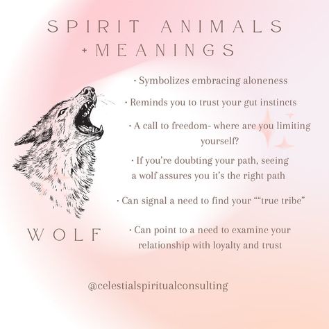 The wolf is an amazing spirit animal because of its ability to be alone or within a pack. Fun fact: lone wolves actually save wolf packs from becoming too inbred by moving from pack to pack, diversifying the gene pool. Without those wolves who aren’t afraid to go it alone and move from pack to pack, the entire wolf population would be messed up. Sometimes what you feel is a struggle may actually be a gift. #lonewolf #spiritanimal #wolfpack Wolf Spiritual Meaning, Spirit Wolf Art, Wolf Meaning, Wolf Packs, Spirit Animal Meaning, Animal Meanings, Wolf Spirit Animal, Spirit Animals, Wolf Spirit