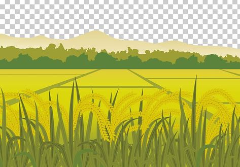 Agriculture Cartoon, Paddy Field, Rice Packaging, Background Nature, Landscaping Images, Iphone Lockscreen Wallpaper, Powerpoint Background Design, Buddha Painting, Best Background