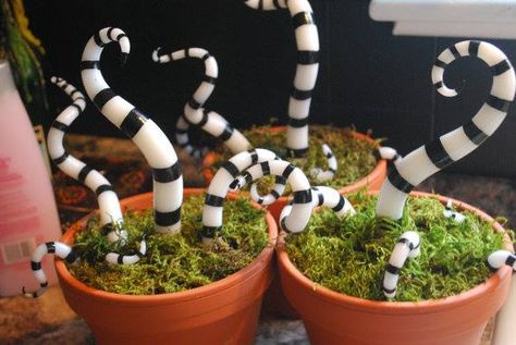 Beetlejuice garden would look really cute and wouldn't be too difficult to make Creepy Plants, Halloween Plants, Beetlejuice Wedding, Creepy Crafts, Juice Party, Halloween Man, Halloween Juice, Meat Eater, Man Eating