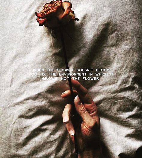 No Ordinary Girl, Rose Quotes, Moving On Quotes, Quotes Inspirational Positive, Flower Quotes, Tumblr Quotes, Trendy Quotes, Quotes Aesthetic, Aesthetic Words