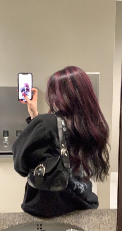 Hair Color Ideas For Brunettes Black, Purple Hair On Dark Brown Hair, Skunk Hair Straight, Self Dyed Hair, Streaks In Hair Black Hair, Long Black Hair With Pink Highlights, Plum Dark Hair, Wine Red Hair Highlights On Black Hair, Haircolors Warm Skin