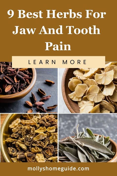 Got a toothache or jaw pain?.
#gumpainrelief Abscess Tooth Remedies, Herbs For Teeth, Remedies For Tooth Pain, Wisdom Teeth Recovery, Tooth Pain Remedies, Abscess Tooth, Wisdom Teeth Pain, Tooth Pain Relief, Tooth Nerve