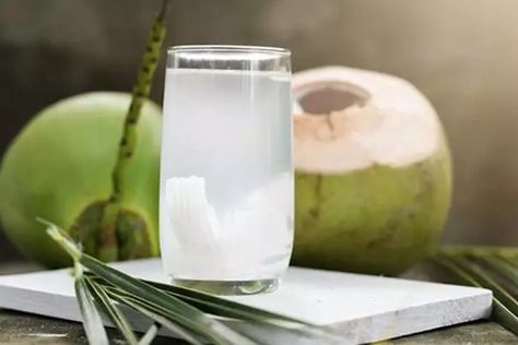 Buktikan Manfaat Minum Air Kelapa Campur Lemon dan Nanas Healthy Food For Men, Coconut Photo, Good For Energy, Es Jelly, Coconut Wine, Selenium Benefits, Benefits Of Drinking Coffee, Interesting Health Facts, Benefits Of Coconut Water