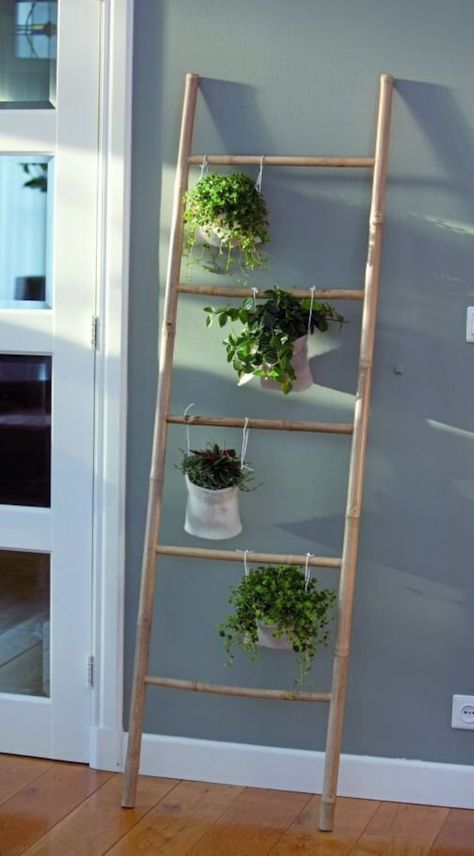 Plant Ladder BAMBOOWORLD | Etsy Diy Bamboo Ideas, Bamboo Projects, Bamboo Ladders, Diy Bamboo, Bamboo Ideas, Bamboo Diy, Vertical Garden Design, Bamboo Decor, Bamboo Bathroom