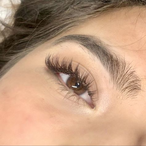 Brown Lash Wet Set Natural Thick Eyelash Extensions, False Lashes For Almond Eyes, Blond Lash Extensions, Subtle Fake Lashes, Natural Thick Lashes, Brown Fake Lashes, Dark Brown Eyelash Extensions, Brown Wet Set Lashes, Eyelash Extensions With Glasses