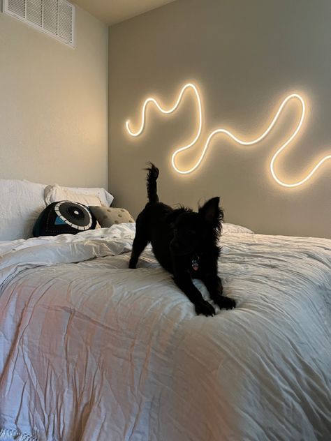 Neon Strip Lights Bedroom, Led Rope Lights Bedroom, Neon Rope Light Ideas, Rope Lights Bedroom, Lights Above Bed, Neon Strip Lights, Neon Rope, Neon Lights Bedroom, Dorm Room Styles