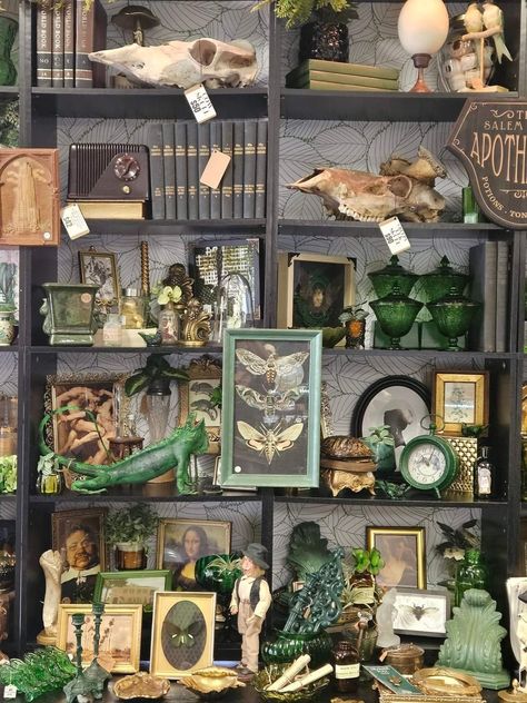 Old Store Interior, Vintage Stall Display, Antique Shelves Display Ideas, Home Decor Display Ideas, Antique Shop Booth Display Ideas, Store Front Decorating Ideas, Apothecary Cabinet Decor, Halloween Antique Booth Ideas, Curiosity Shop Aesthetic